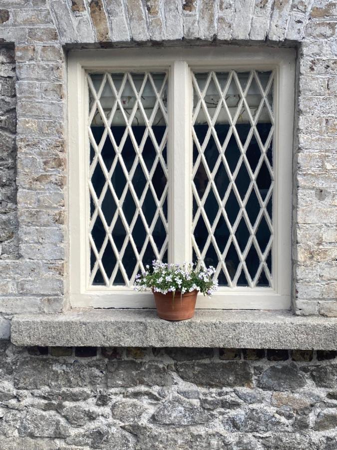 The Coach House Vila Dublin Exterior foto